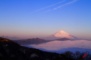 富士山と雲海.jpg