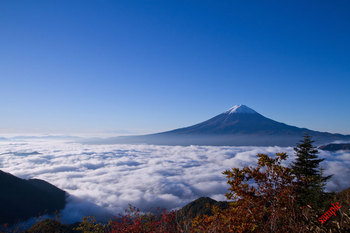 雲海と富士山.jpg